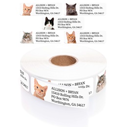 Assorted Cats Rolled Address Labels with Elegant Plastic Dispenser