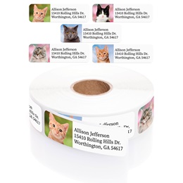 Alternating Colorful Cats Rolled Address Labels with Elegant Plastic Dispenser